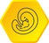 EmbryoTransfer EmbryoTransfer