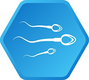 Sperm Processing
